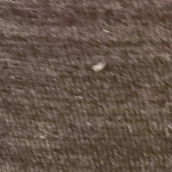 Denver Hayes shirt - Picture 4 of 6